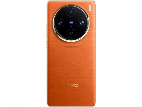 VIVO X100 Pro